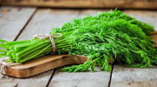 Dereotu Anne Sütünü Artırır mı?