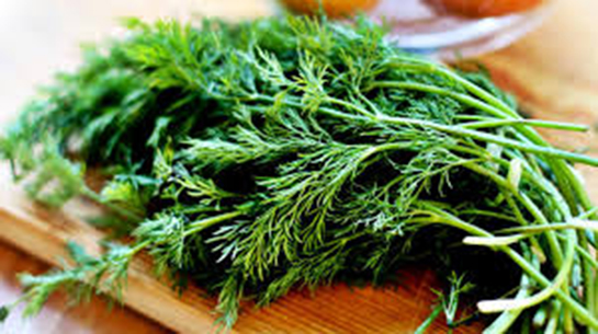 Dereotu Kabızlık Yapar mı?