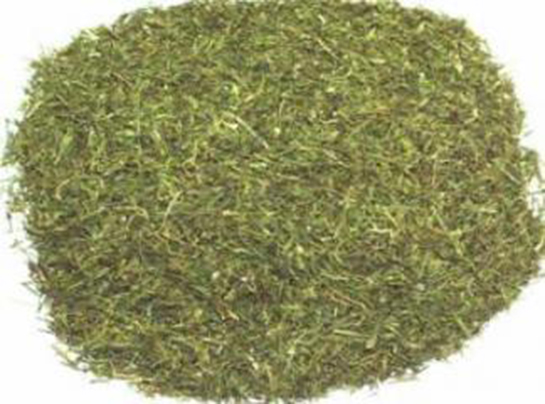 Dereotu Kürü Kullanımı ve Faydaları Nelerdir?