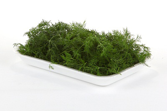 Dereotu Tiroid Belirtileri ve Tedavisi