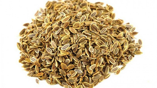 Dereotu Tohumu Türleri ve Özellikleri