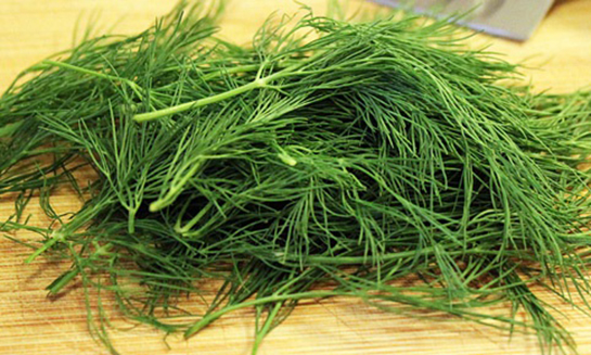 Dereotunun Hemoroide Faydaları Nedir?