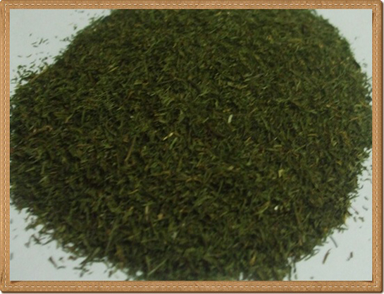 Kurutulmuş Dereotu Kullanımı ve Faydaları Nelerdir?